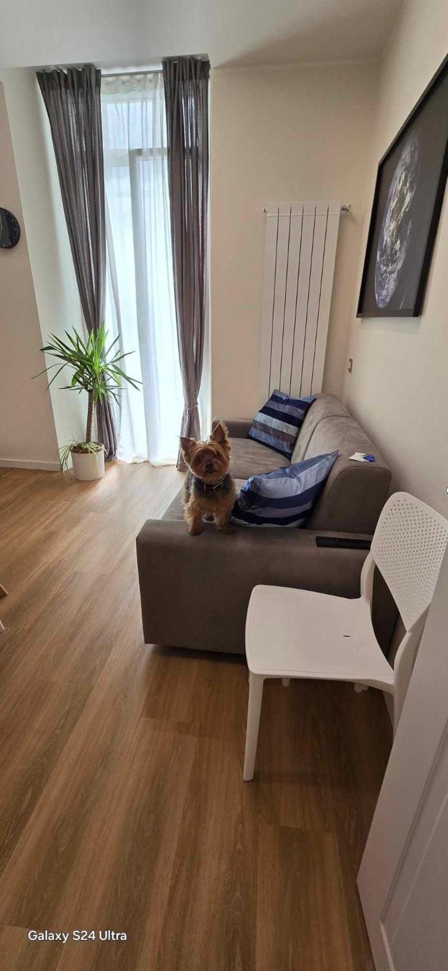 The Dream Apartment 100 M Dal Mare Savona Esterno foto